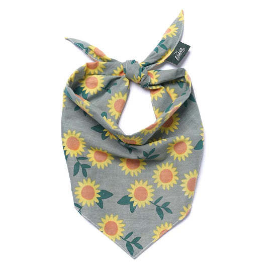 Cromwell Fall Bandana