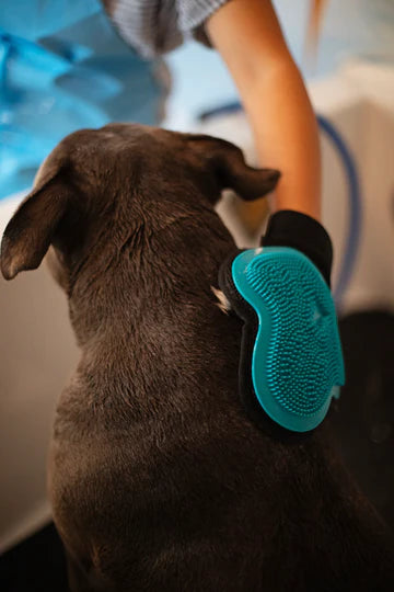 Reversible Silicone Grooming Glove | Messy Mutts