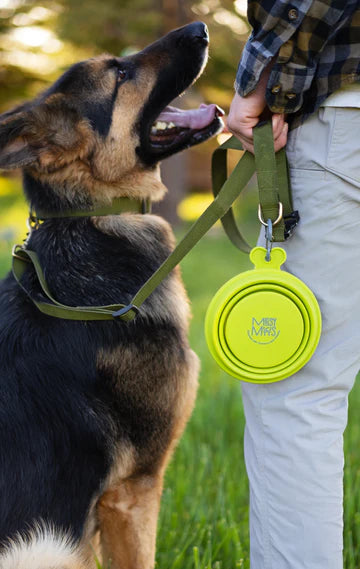 Collapsible Travel Bowl | Messy Mutts