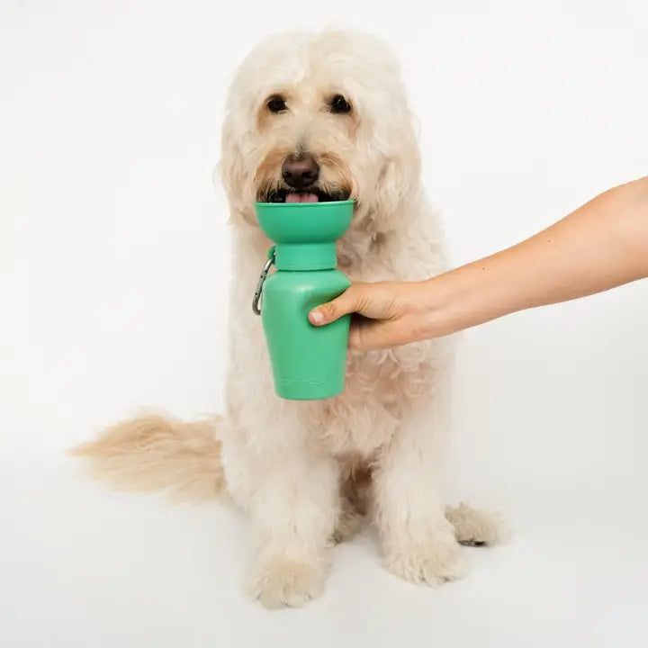 Springer Travel Bottle | Dog Travel Water Bottle | Flip 20 oz