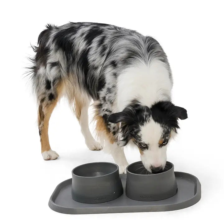 West Paw Seaflex Dog Placemat