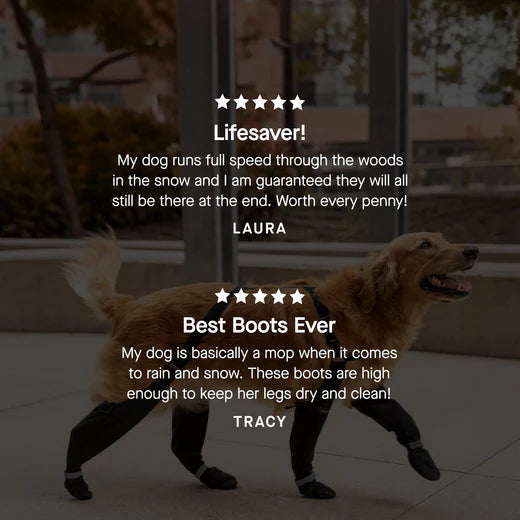 Black Suspender Boots- Dog Boots | Canada Pooch