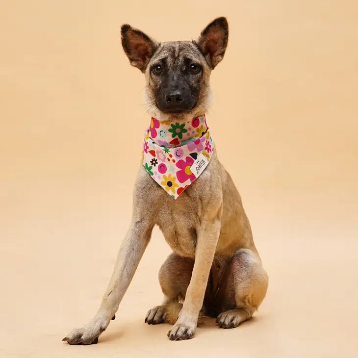 All Smiles Bandana | The Paws