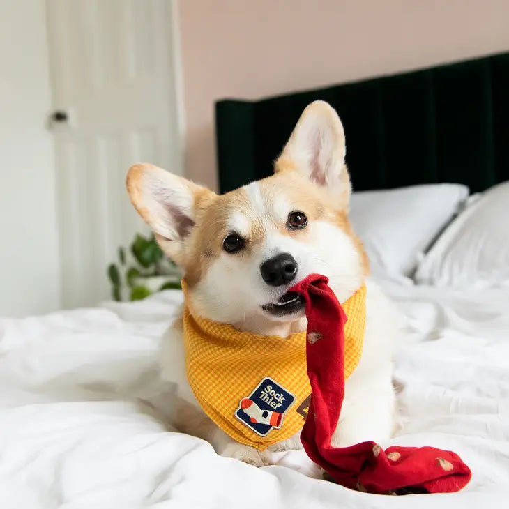 Sock Thief Bandana Patch | Scout's Honour