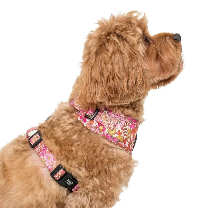 Pink Posie's Adjustable Harness