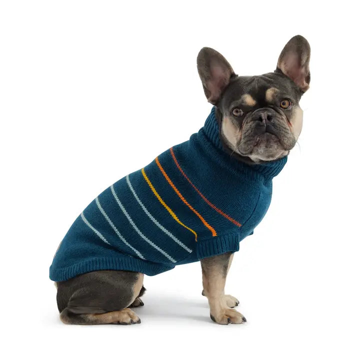 Blue Arctic Sweater | GF Pet