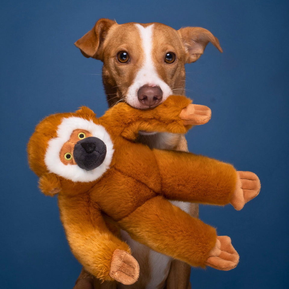 Marcel Monkey Plush Toy