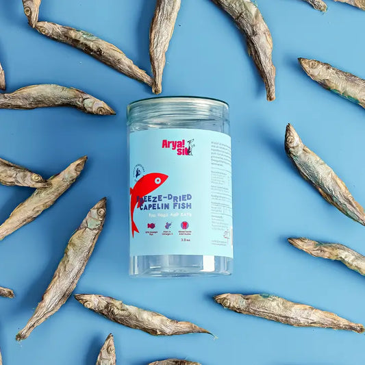 Freeze Dried Capelin | Arya Sit