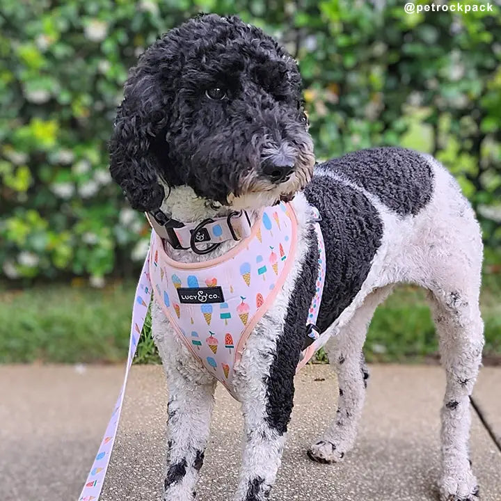 A Lotto Gelato Collar | Lucy & Co