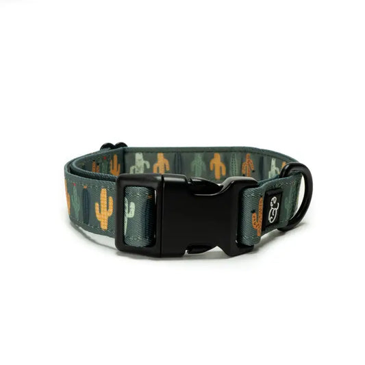 Looking Sharp Collar | Lucy & Co
