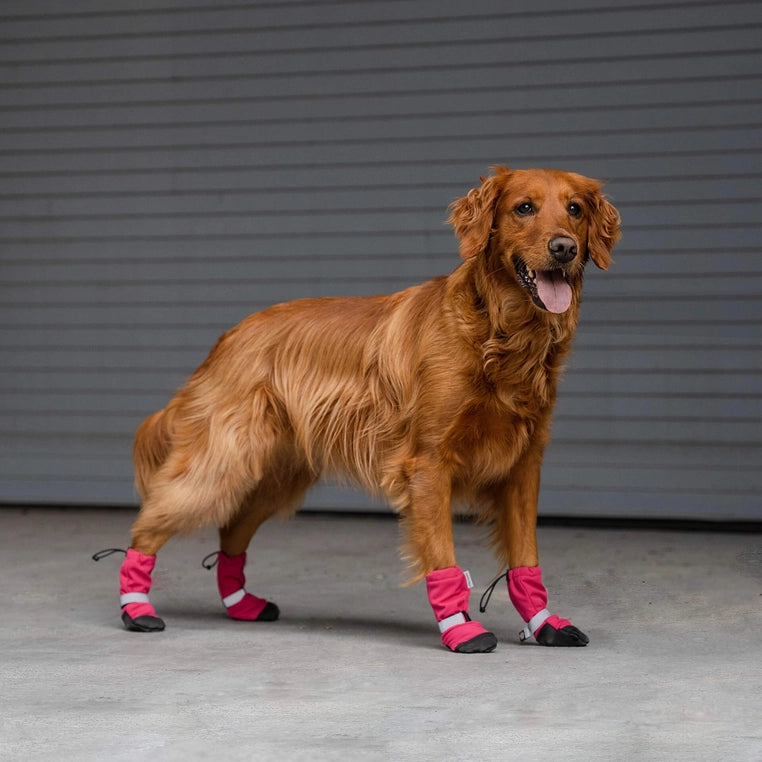 Pink Soft Shield Winter Boots | Canada Pooch