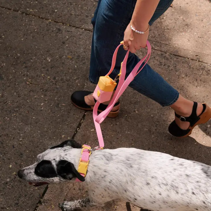 The Fritz Leash | Pink