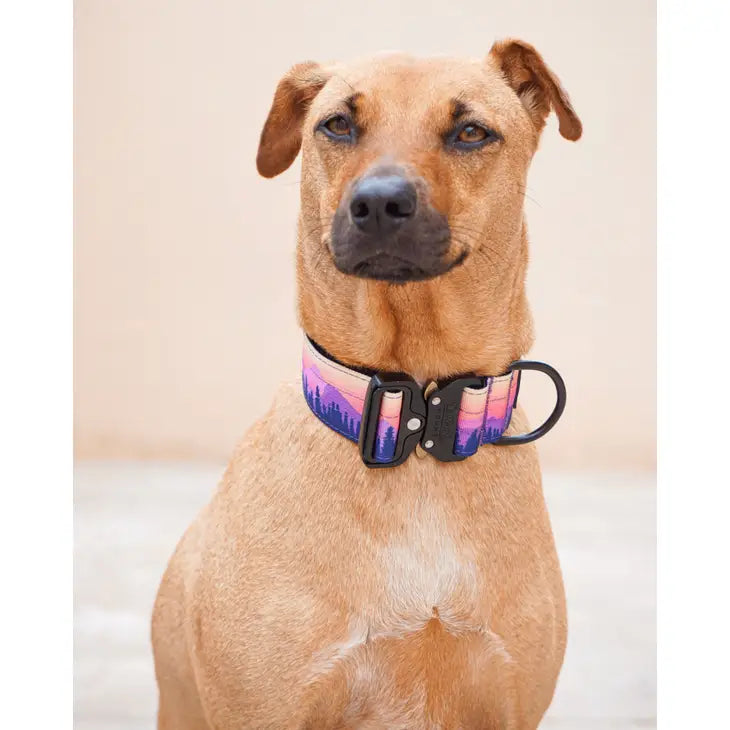 Outback Hound Sunrise Trail Hound Collar