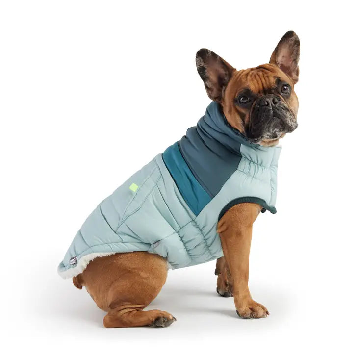 Light Blue GF Pet Camplife Puffer Coat