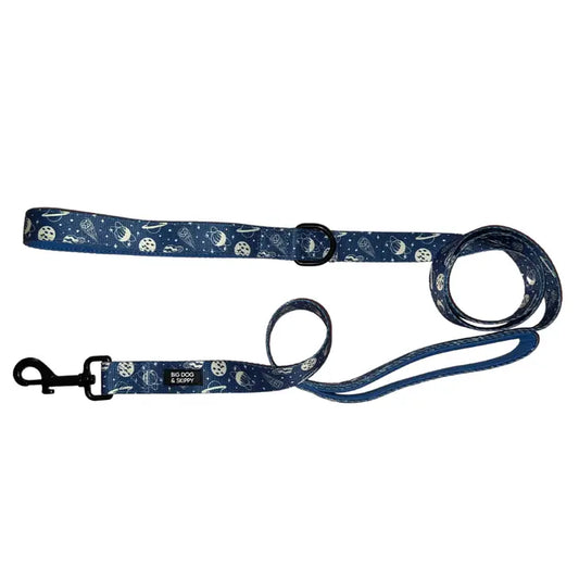 I Need Space Traffic Lead Leash by Big Dog & Skippy