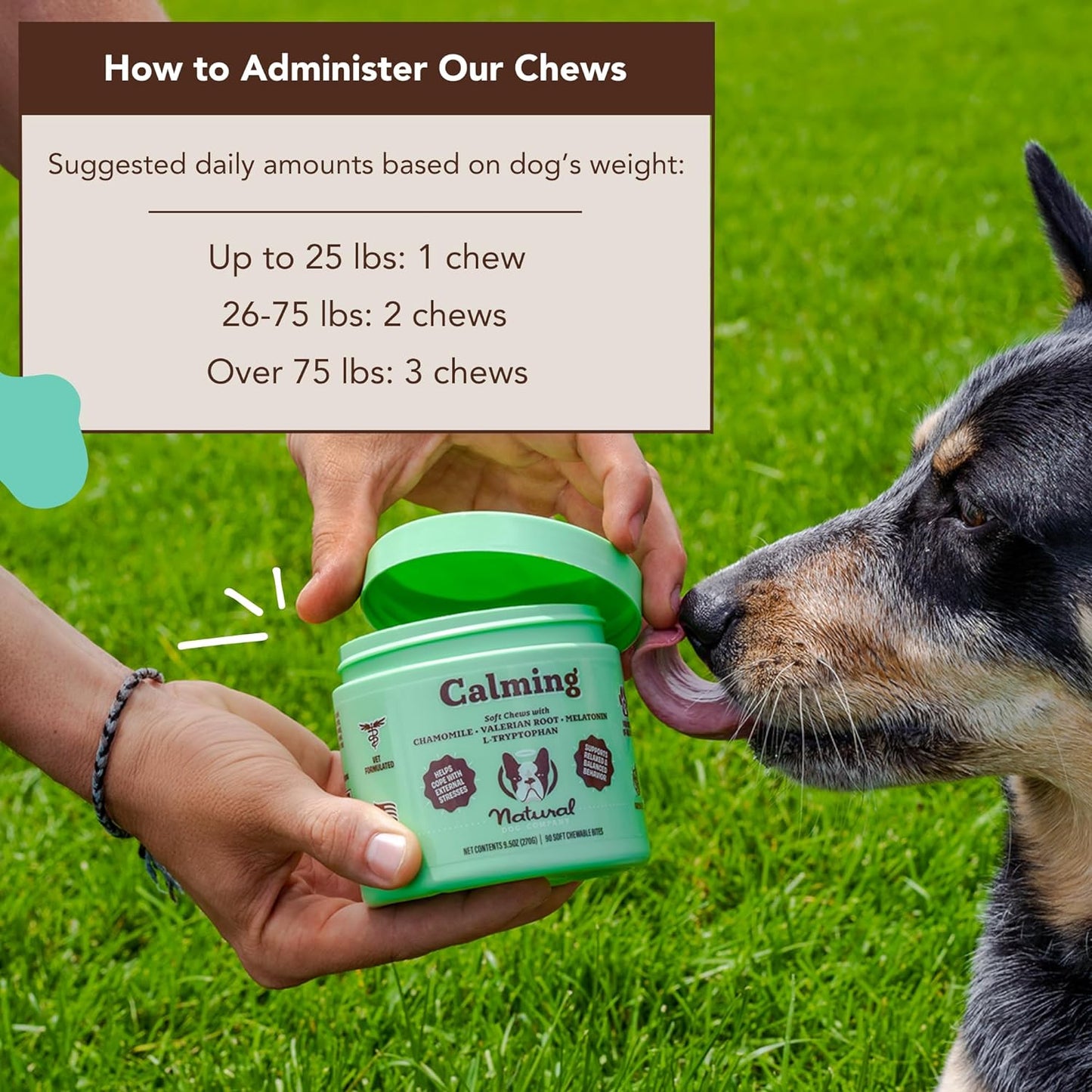 Natural Dog Company Calming Chews
