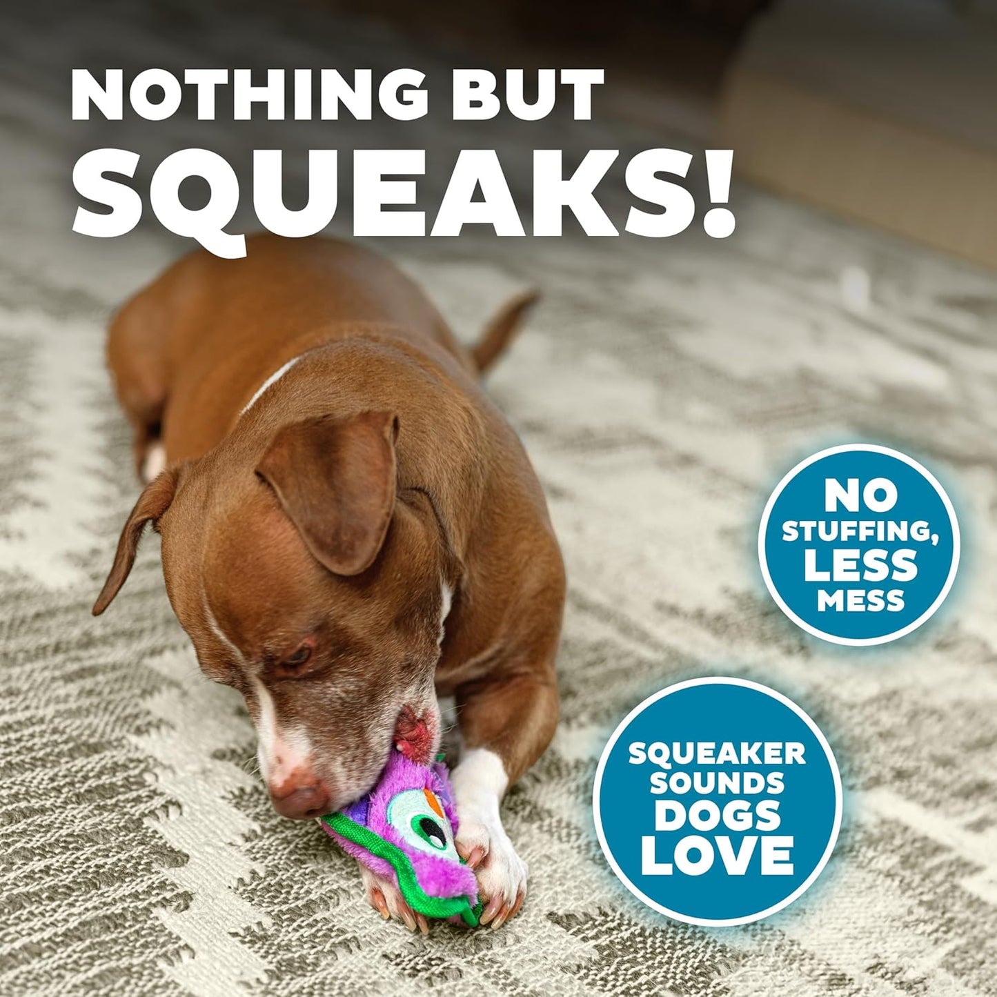 Outward Hound Mini Durable Owl Toy