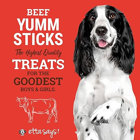 Beef YUMM Sticks | Etta Says