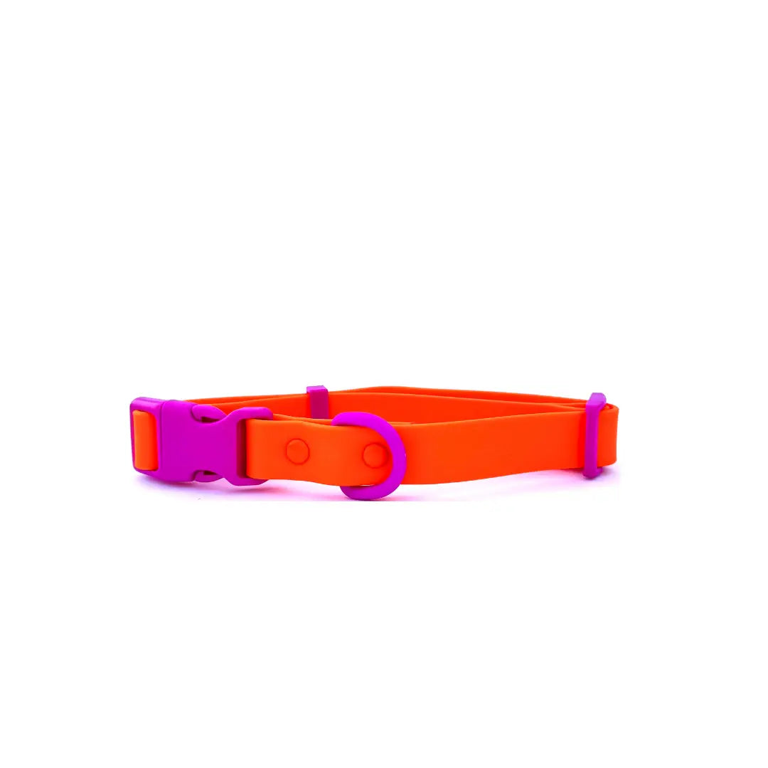 The Fritz Collar Durable, Waterproof & Two-Tone | Sunset Violet