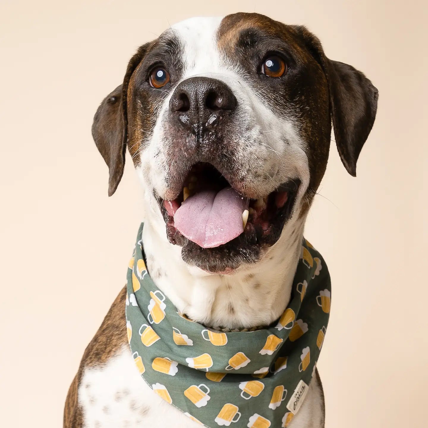 Brew Dog Bandana