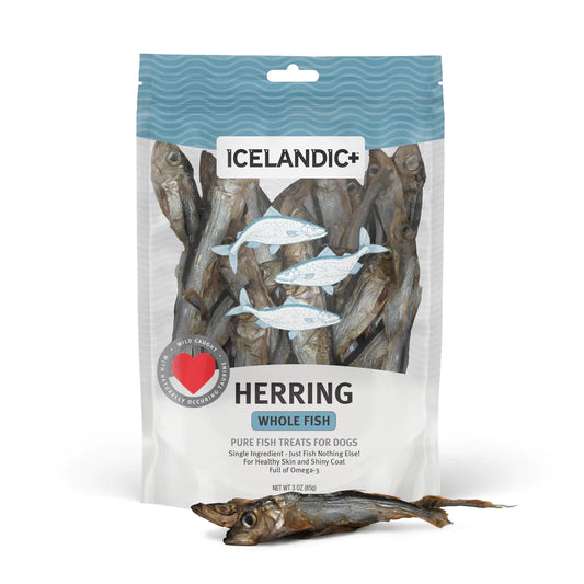 Whole Fish Herring Treats | Icelandic+