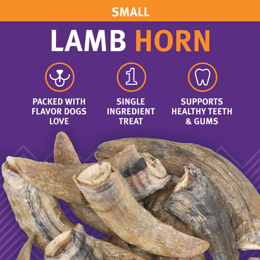 Small Lamb Horn | Icelandic+