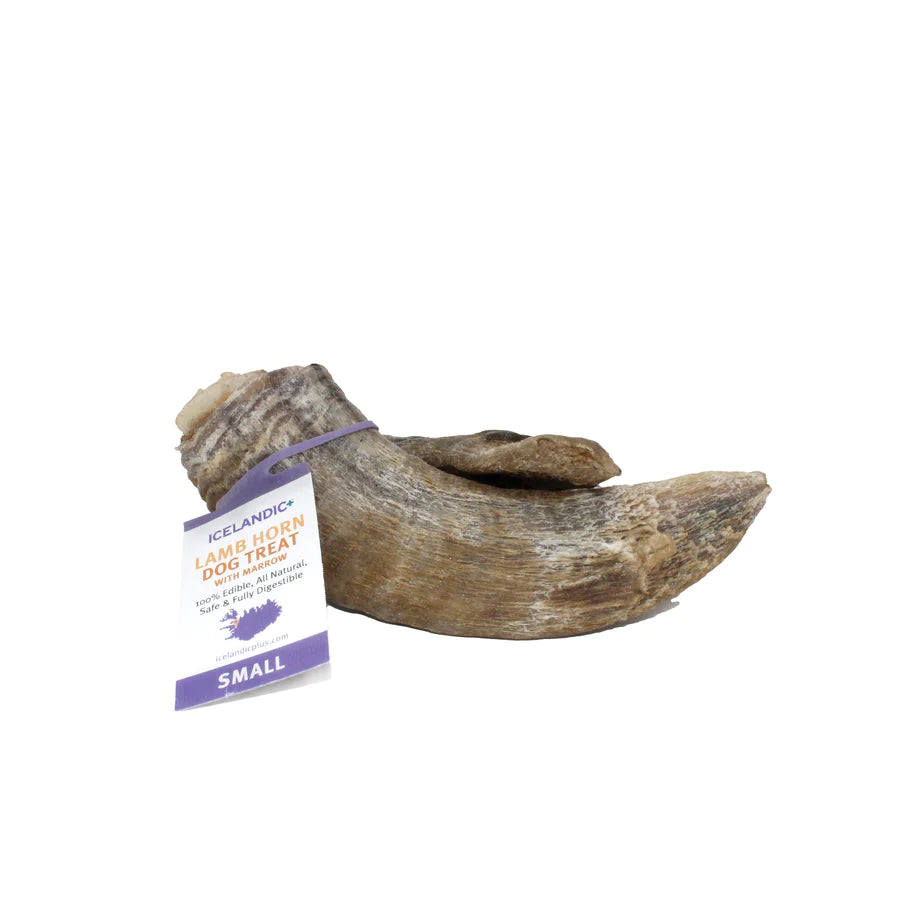 Small Lamb Horn | Icelandic+