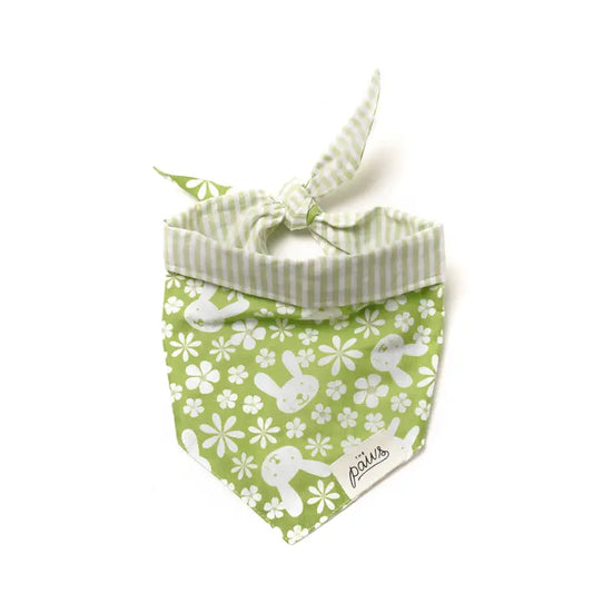 Skippy Bandana | The Paws