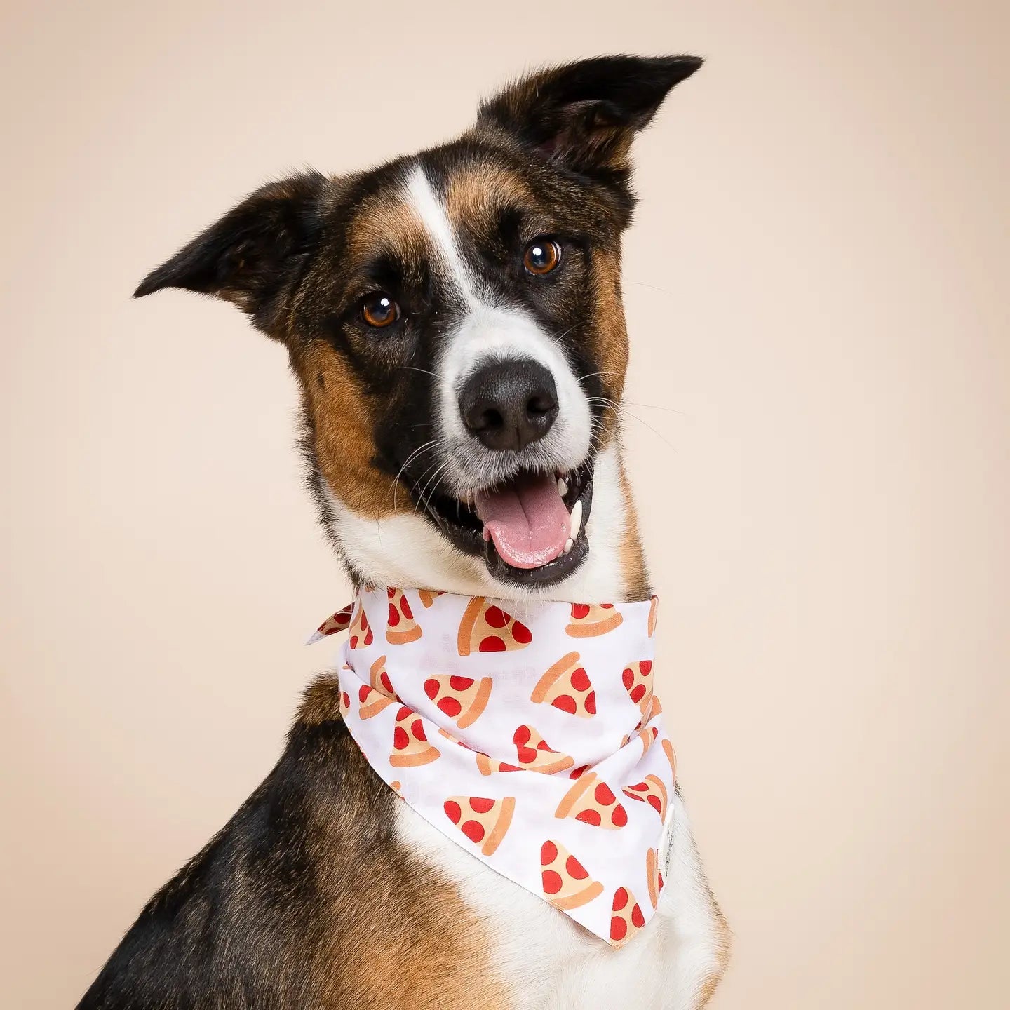 Pizza Dog Bandana