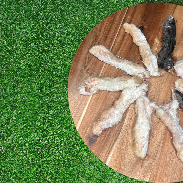 Rabbit Foot