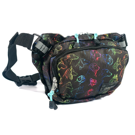 Sipsey Wilder Head of the Class Rover Hip Pack 2.0