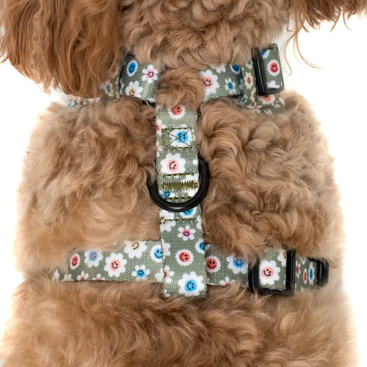 Smiley Flowers Adjustable Harness | Pablo & Co.