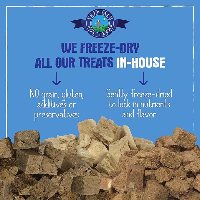 Freeze Dried Duck Hearts