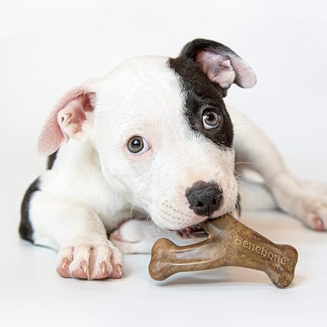 Benebone Puppy Pack | Bacon Wishbone & Dental Chew
