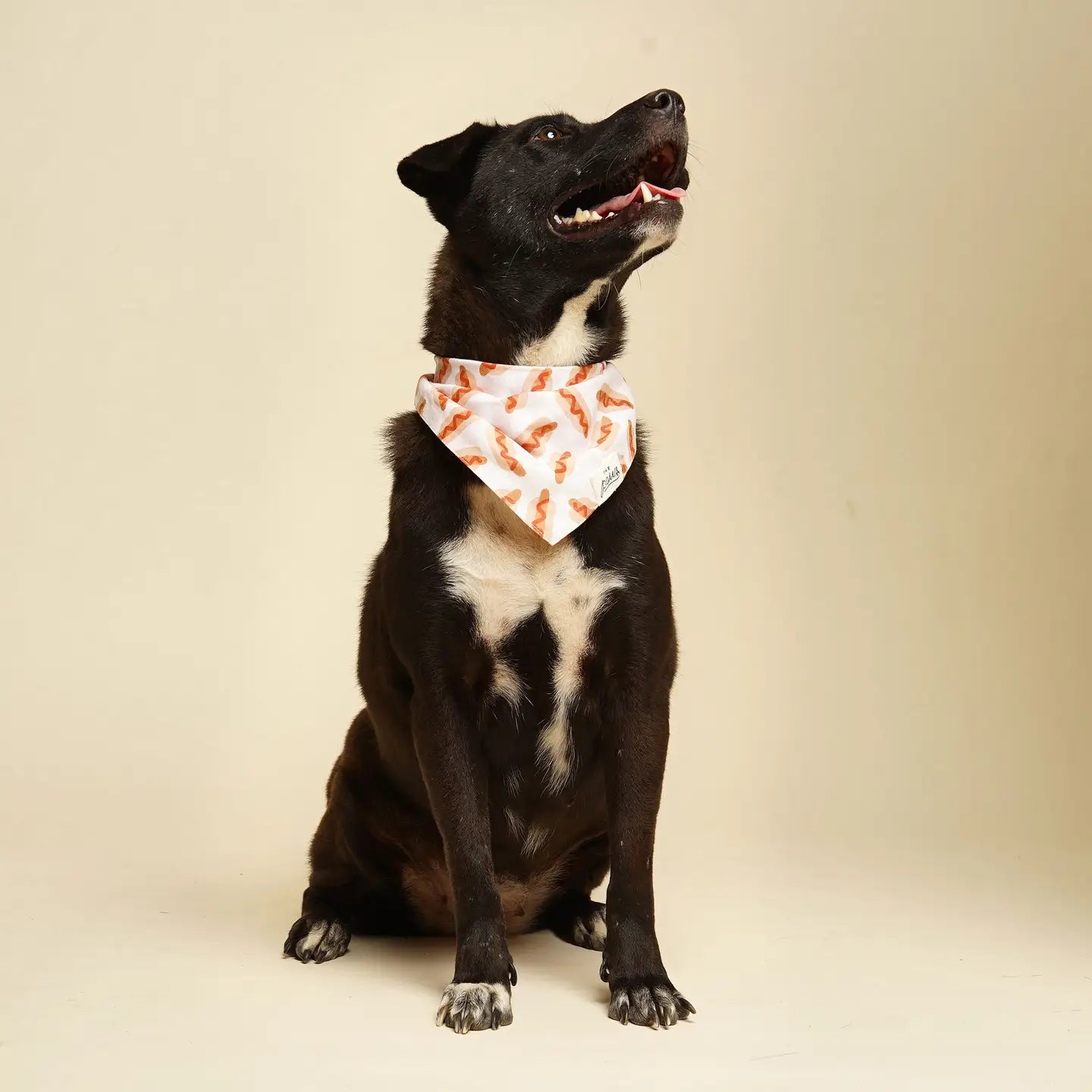Sizzle Hotdog Dog Bandana
