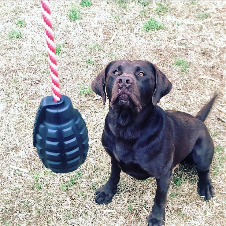 USA-K9 Magnum Grenade Chew Toy