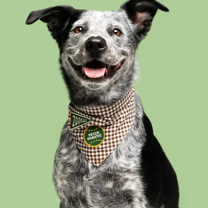Fetch Fanatic Bandana Patch | Scout's Honour