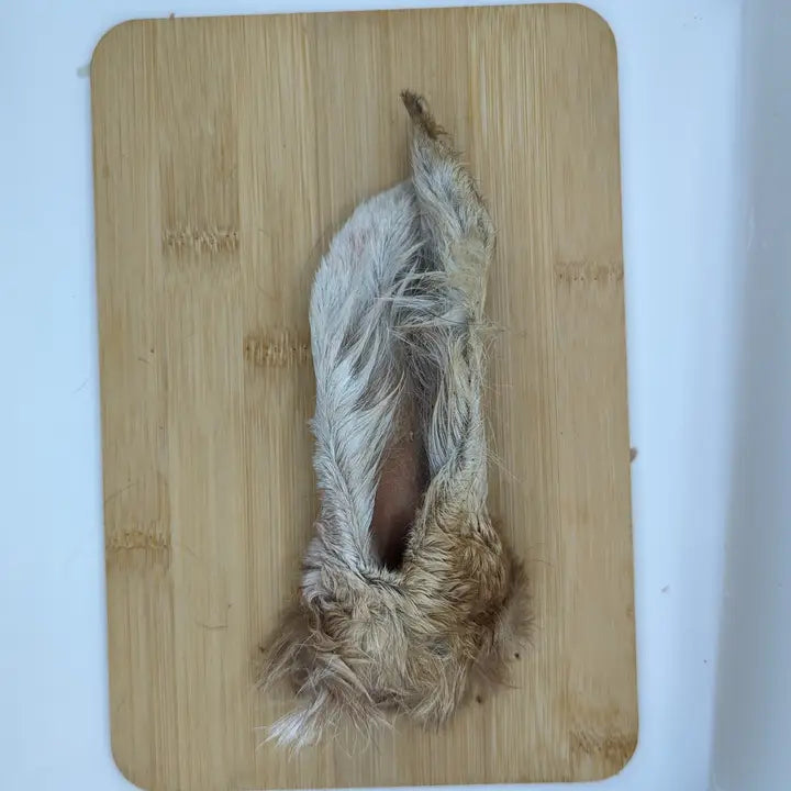 Hairy Goat Ear