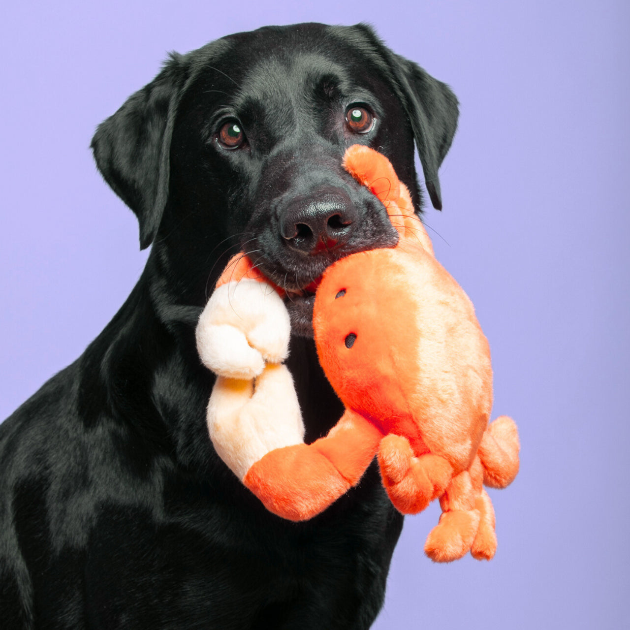 Phyllis Crab Plush Toy