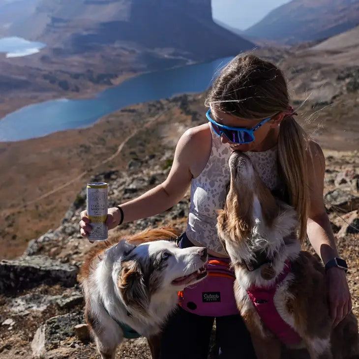 Outback Hound Trail Mate Pack
