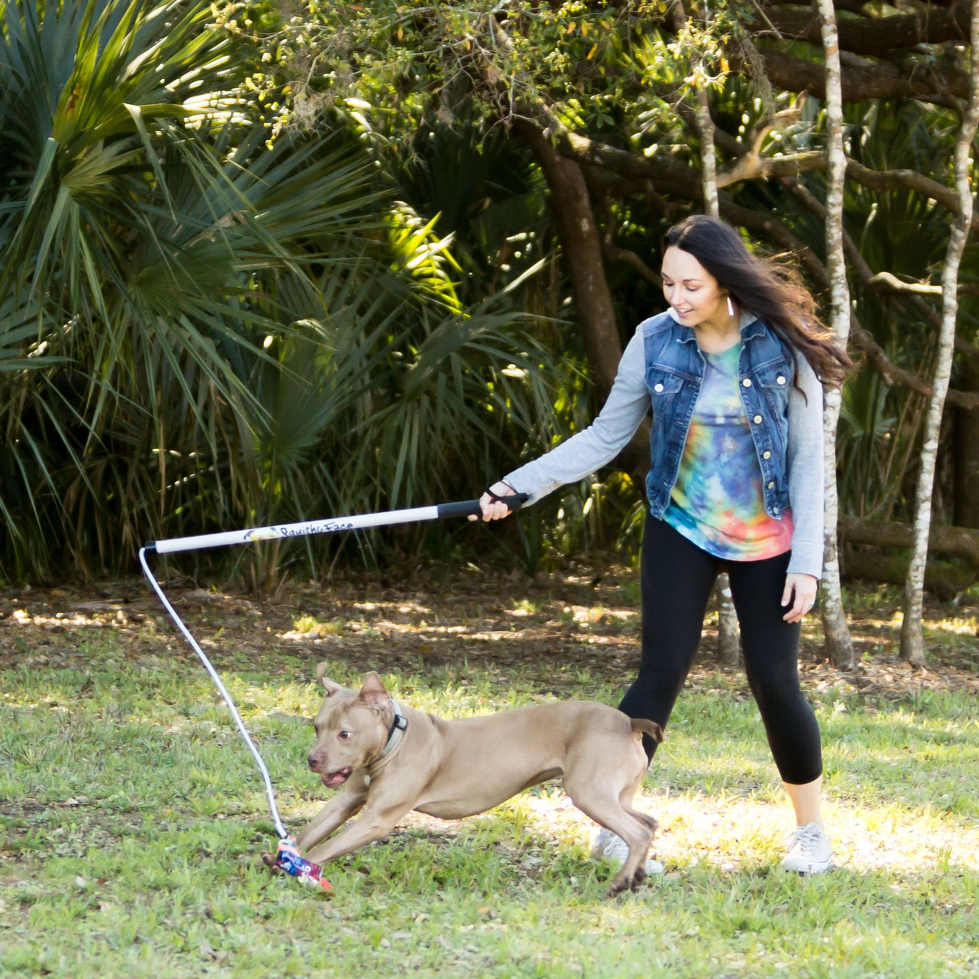 Squishy Face Studio Flirt Pole V2 Dog Toy with Basic Lure