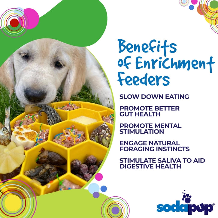 Soda Pup Blue Honeycomb Slow Feeder
