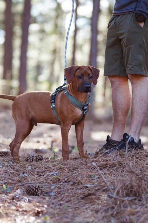 Outback Hound Ultra Lite Ranger Green Comfort Harness