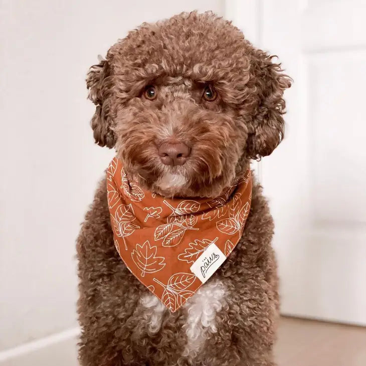True North Dog Bandana