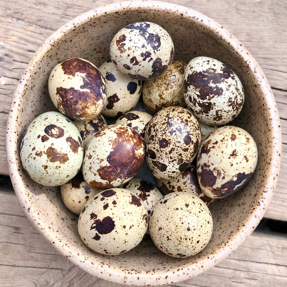 18-Ct Raw Quail Eggs