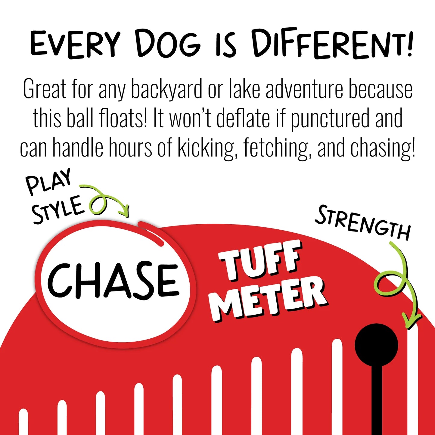 Bounce N' Play | Jolly Pets