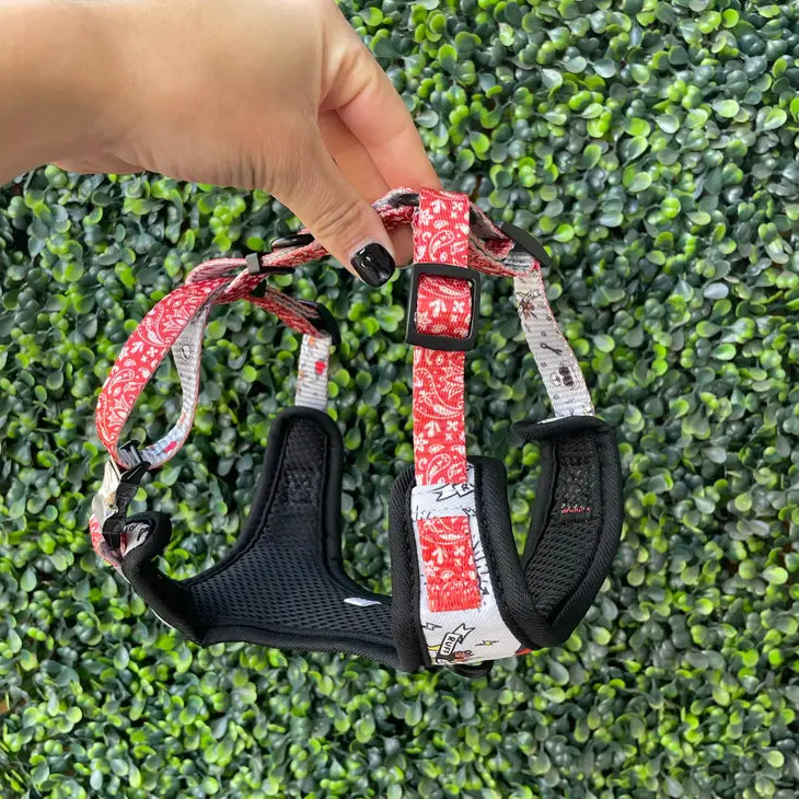 Bad to the Bone Front-Clip Harness