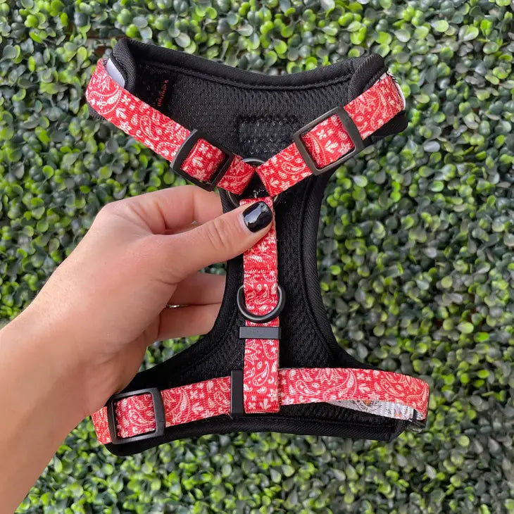 Bad to the Bone Front-Clip Harness