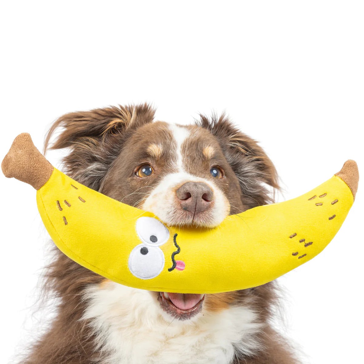 Fetchies Bruiser Banana Plush Dog Toy