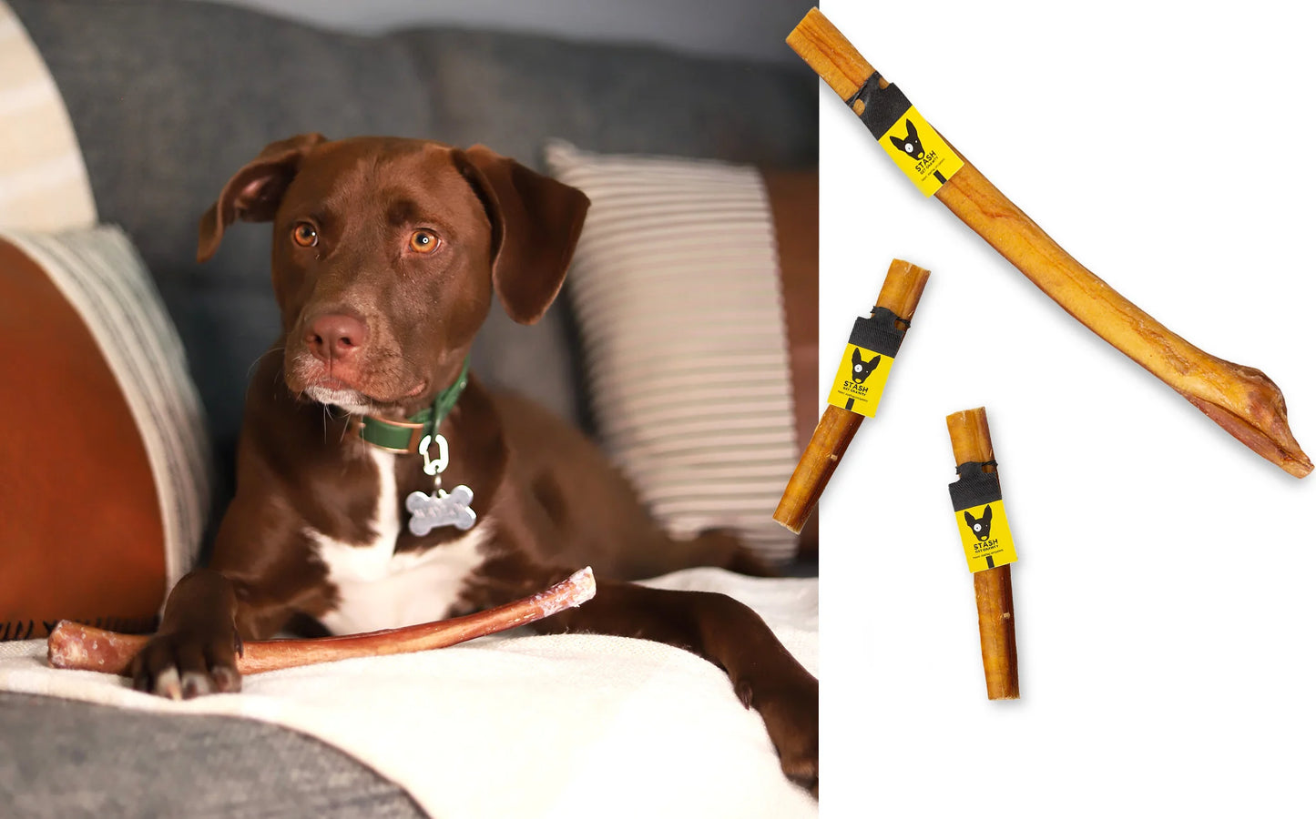 Bully Stick | STASH